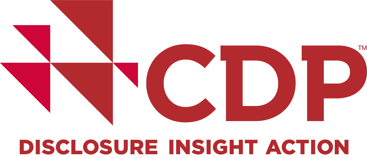 Logo ufficiale CDP