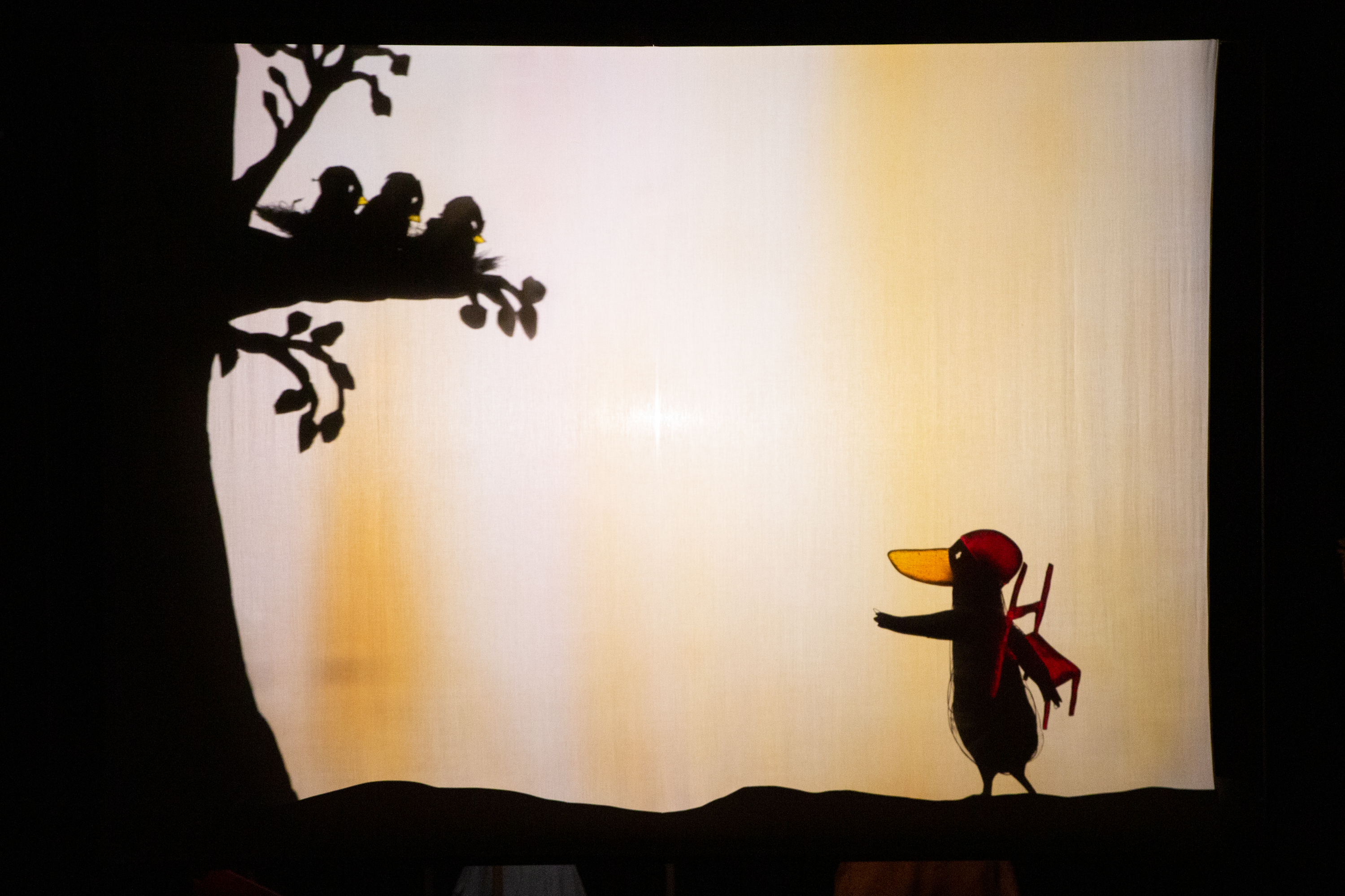 foto di scena