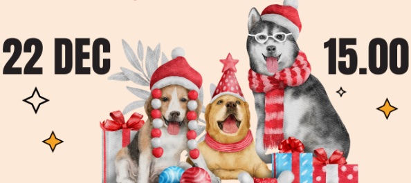 Tre cani agghindati con sciarpa e cappello di lana