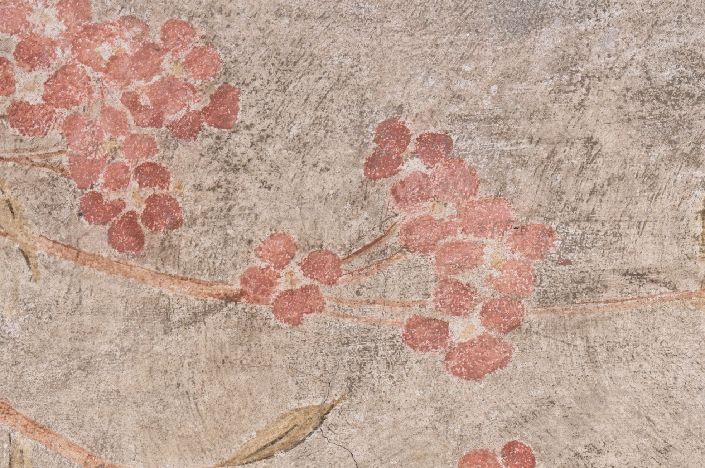 affresco, particolare