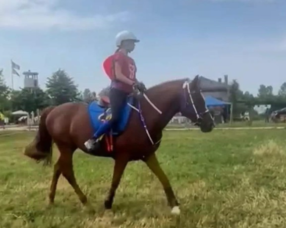 Giovane ragazza conduce al passo un cavallo