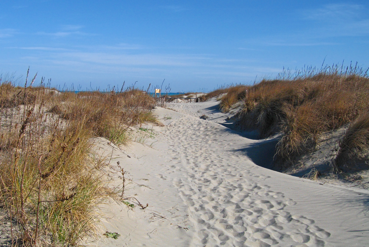 fotografia delle dune dell'Oasi Caroman