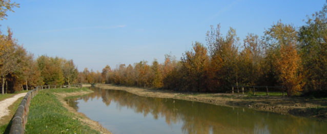 Canale rinaturalizzato presso Bosco Ottolenghi