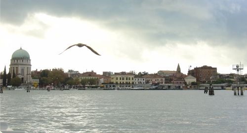 foto del Lido di Venezia con gabbiano che vola