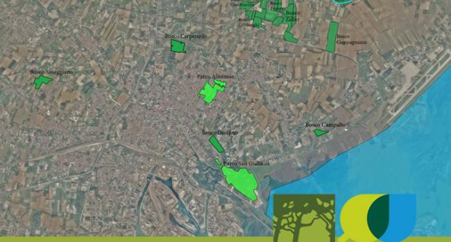 https://www.comune.venezia.it/sites/comune.venezia.it/files/styles/650x350/public/Bottone%20per%20Bosco%20grandi%20parchi%20SENZA%20TESTO%2020.jpg?itok=vunfelqI