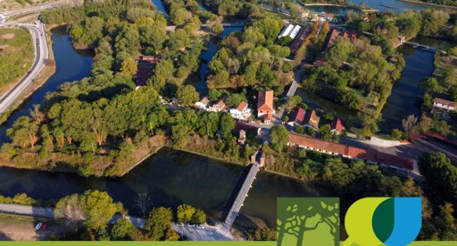 https://www.comune.venezia.it/sites/comune.venezia.it/files/styles/650x350/public/Bottone%20per%20Bosco%20grandi%20parchi%20SENZA%20TESTO%204_0.jpg?itok=vU9zaQtQ