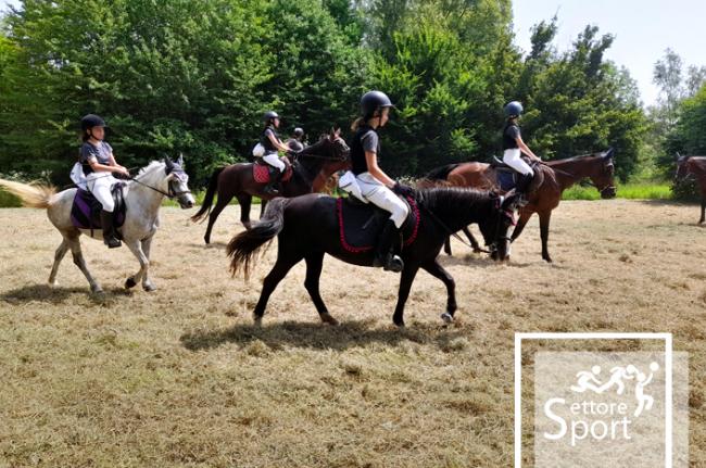 Pony demo day con A.S.D. Circolo Ippico Ducale, Bosco di Campalto, 21 giugno