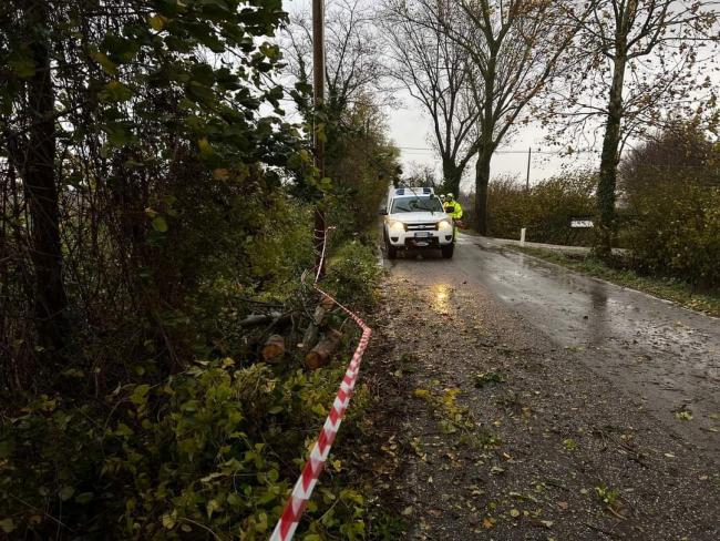 Maltempo 22 Novembre 2022. Diversi interventi per alberi caduti