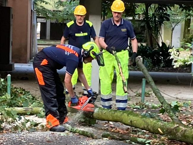 I volontari sono impegnati nel taglio alberi caduti durante il maltempo intenso