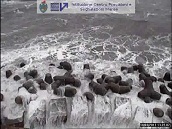 Immagine Faro Diga Sud Lido