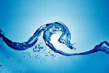 ricciolo di acqua