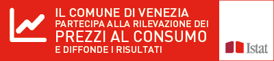 banner Istat