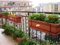 Terrazzo con vasi all'interno