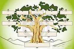 Immagine albero genealogico